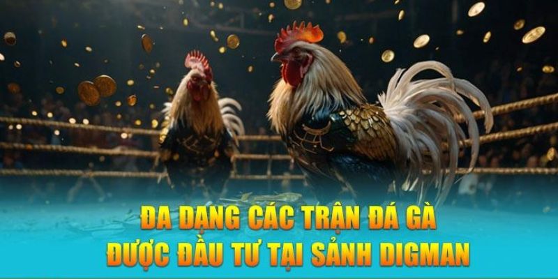 Những hình thức được ưa chuộng nhất tại sảnh digmaan